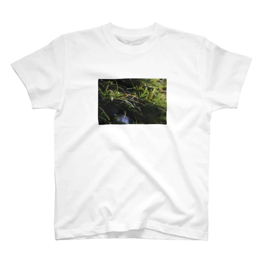 in your fragranceの草の匂い Regular Fit T-Shirt