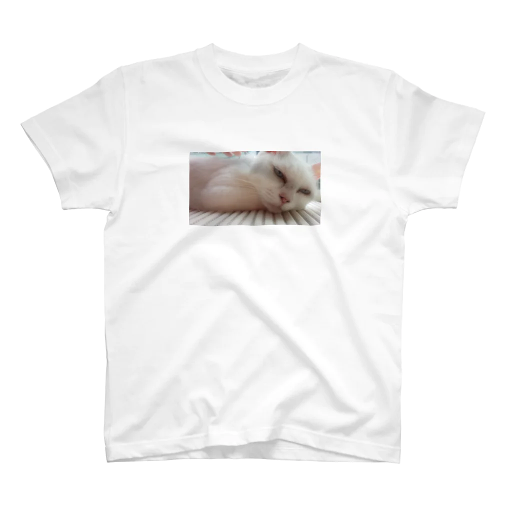 江美の眠い猫 スタンダードTシャツ