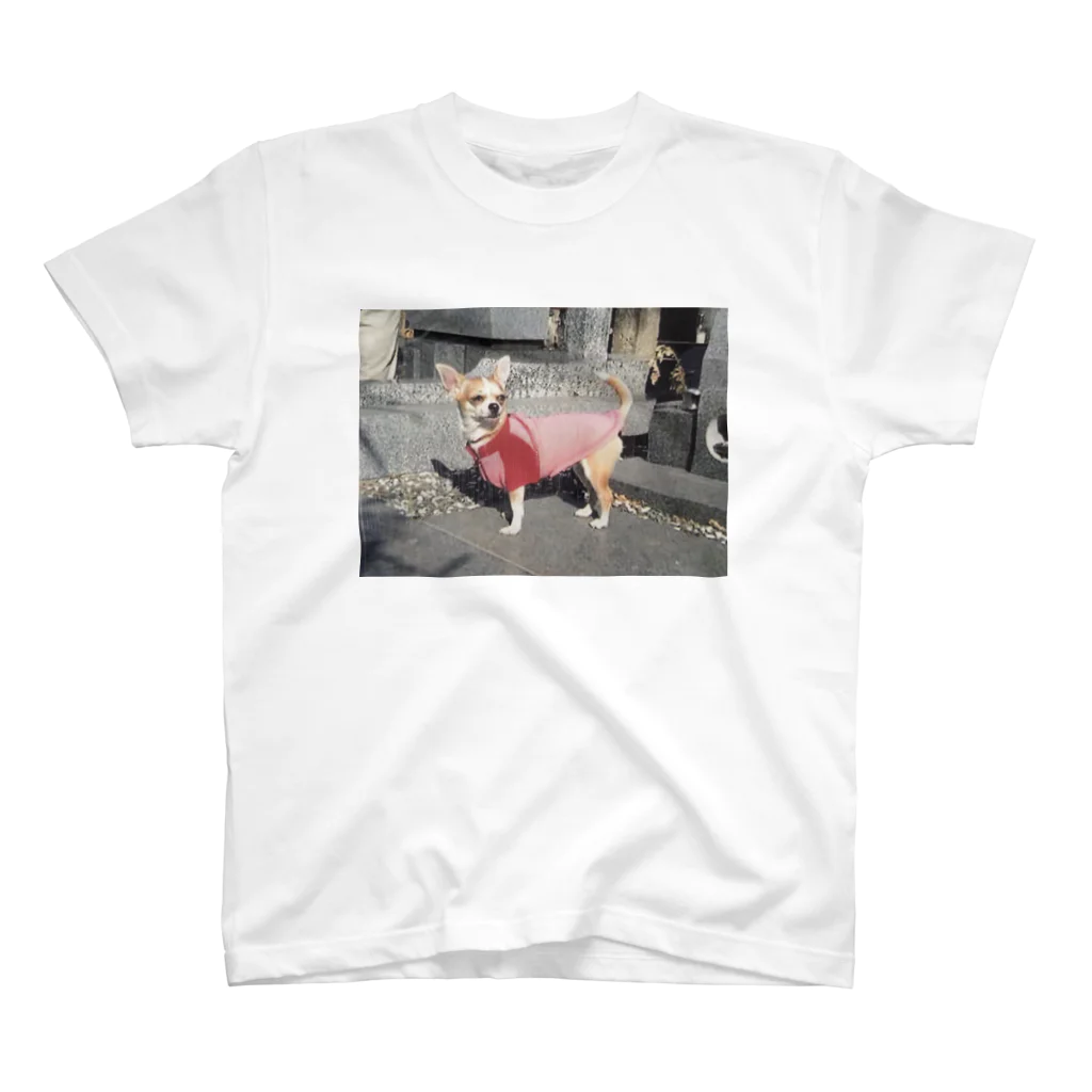 おいしいの痩せてる犬 Regular Fit T-Shirt