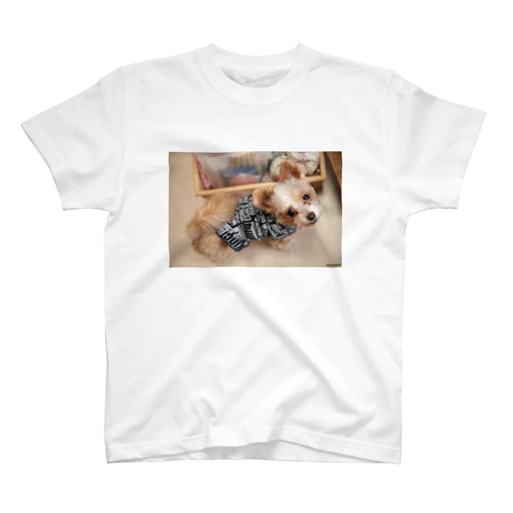 『ないしょ話*夢の森』の看板犬ラテ スタンダードTシャツ