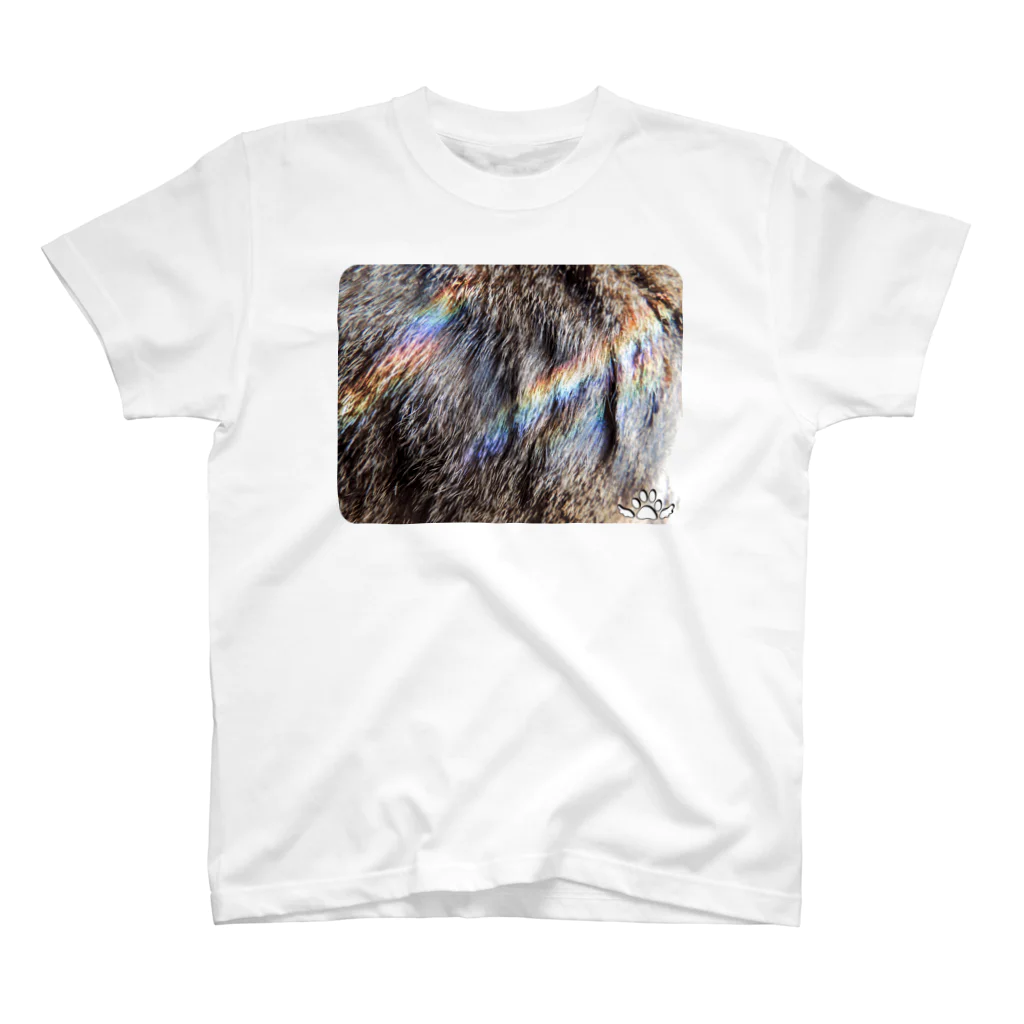 Cat in the Light（光の中の猫）の【猫】キジトラ模様と虹 スタンダードTシャツ