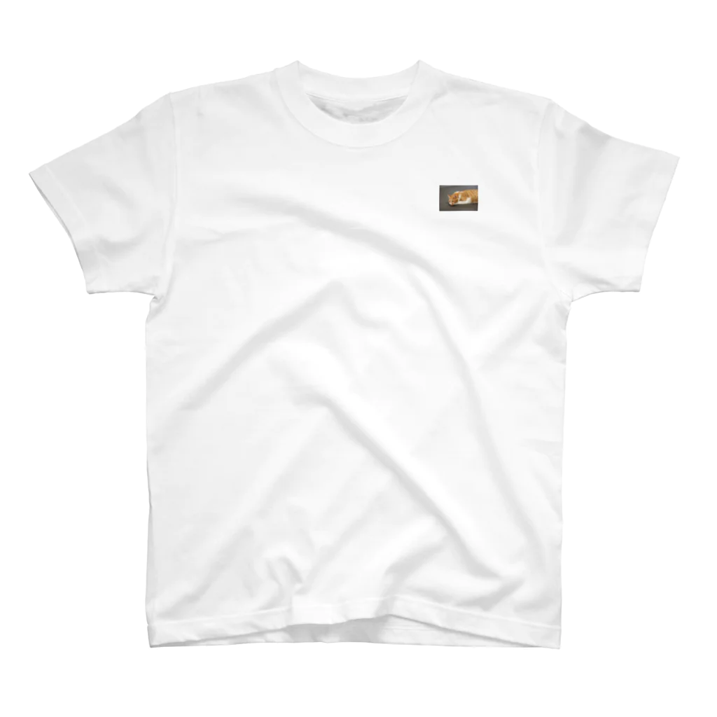 CoConutsのたたみ猫 Regular Fit T-Shirt