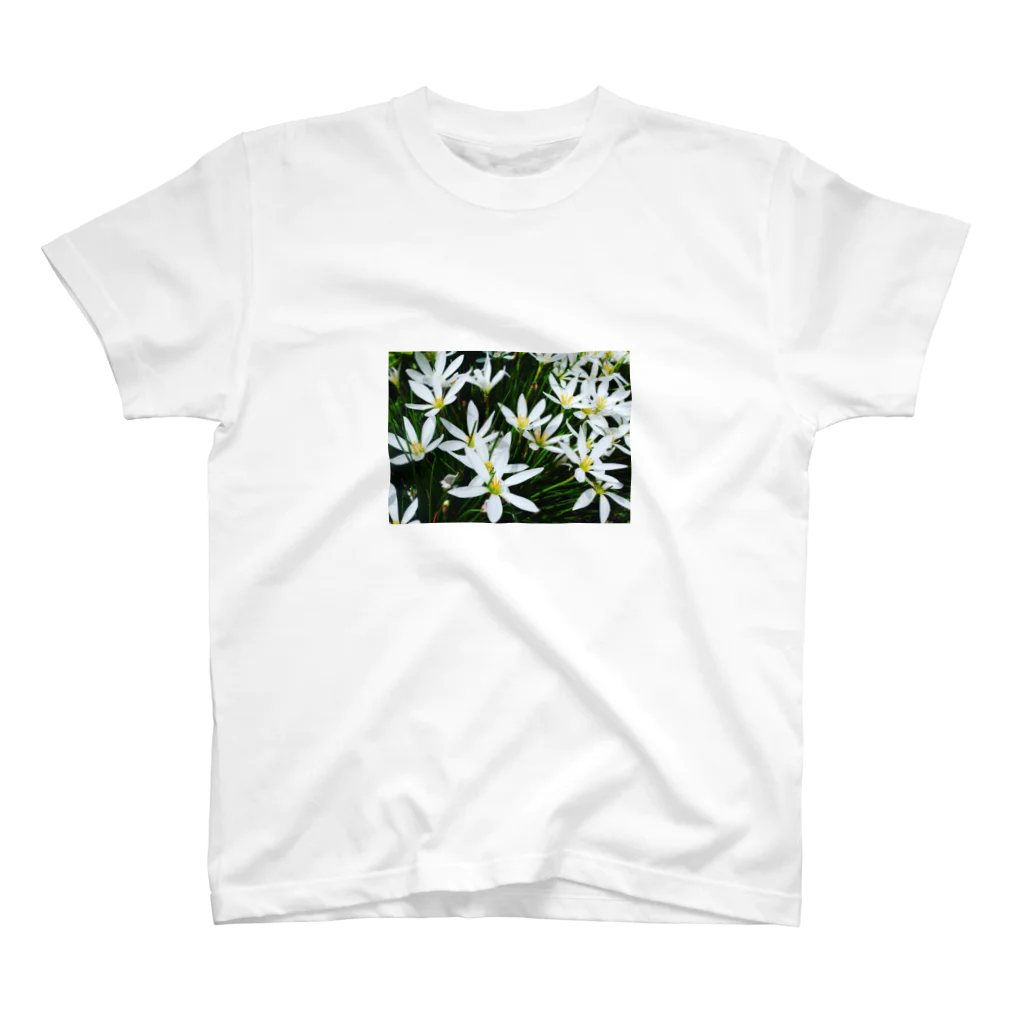 cozcozの花 スタンダードTシャツ