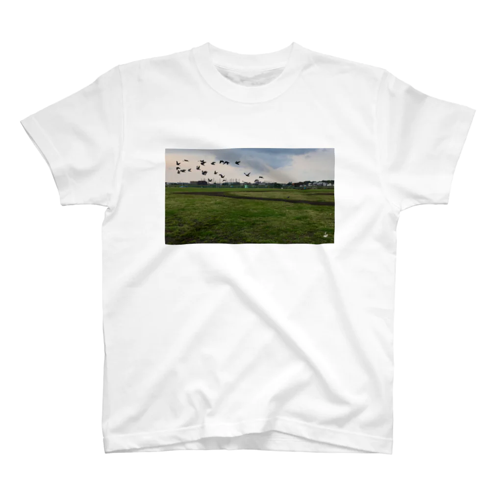 fDESIGNのfp_03_Photo スタンダードTシャツ