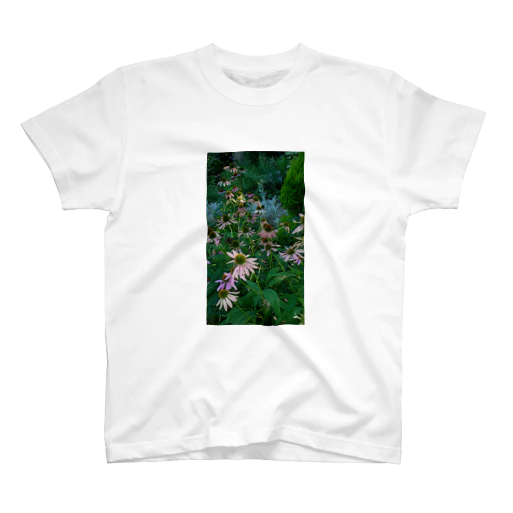 fDESIGNのfp_05_Photo スタンダードTシャツ