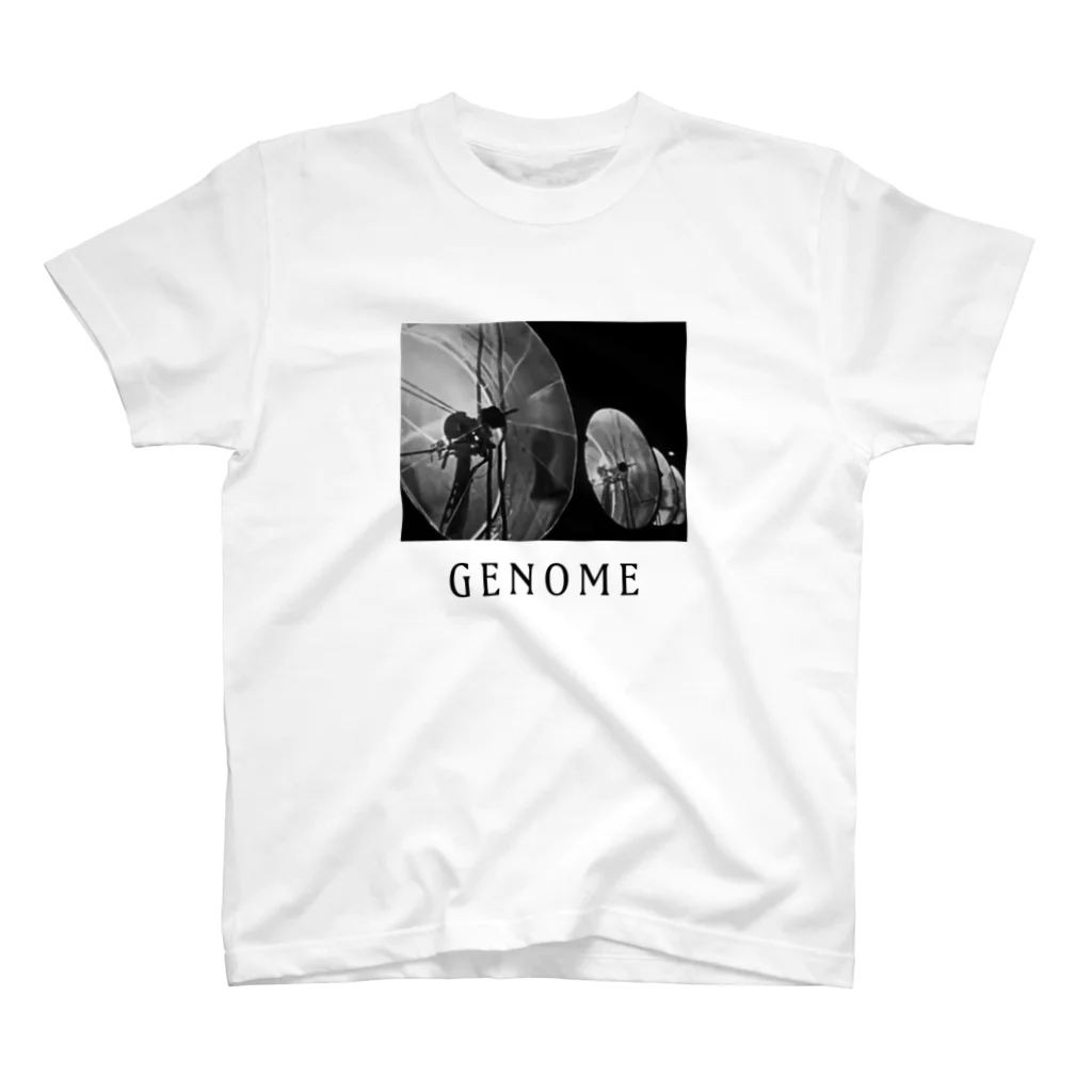 shen_ruixiのpanorama / genome スタンダードTシャツ