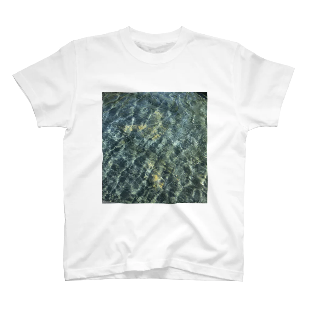 rozaroza4の水の姿 Regular Fit T-Shirt