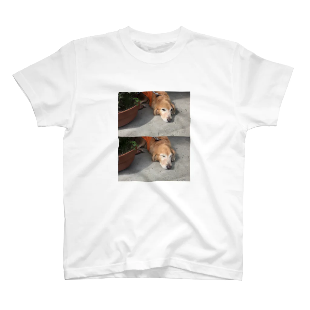 seaの犬 スタンダードTシャツ