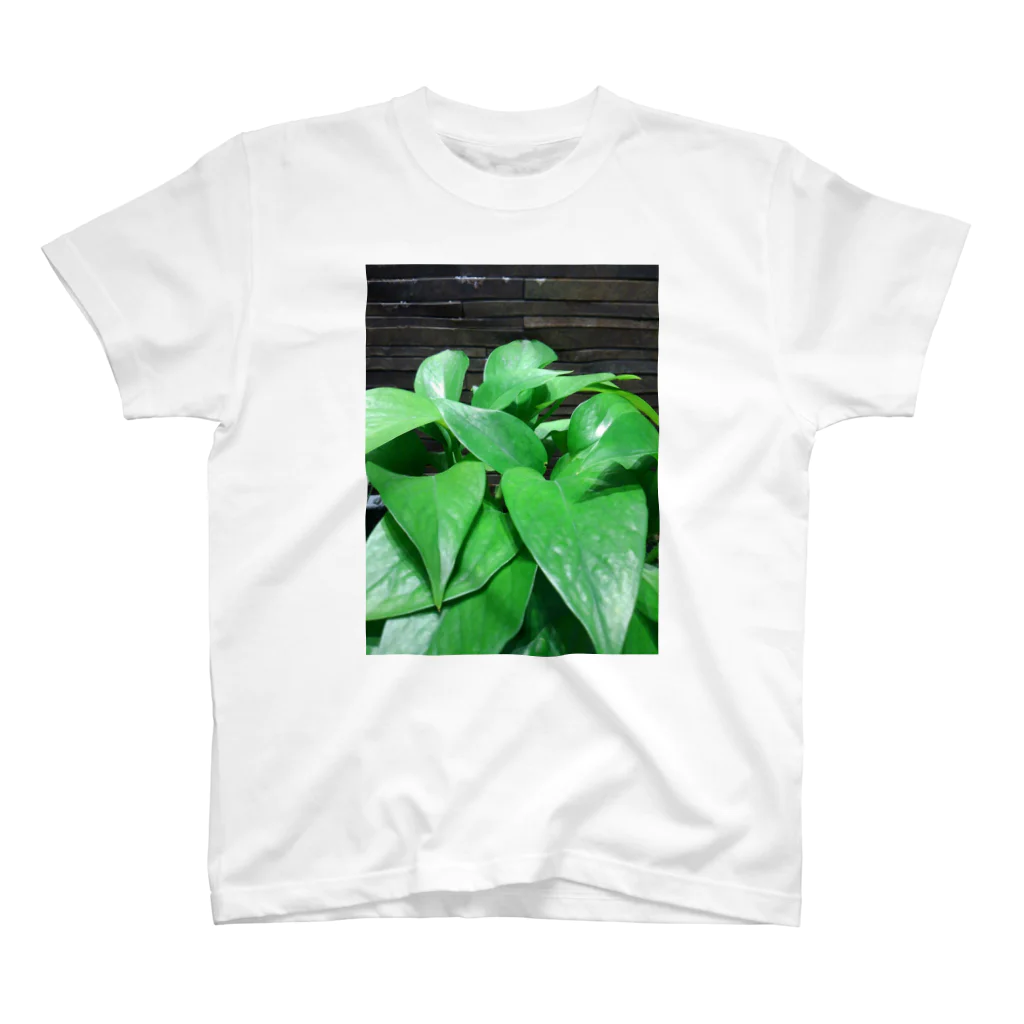 koasaichiのgreen スタンダードTシャツ