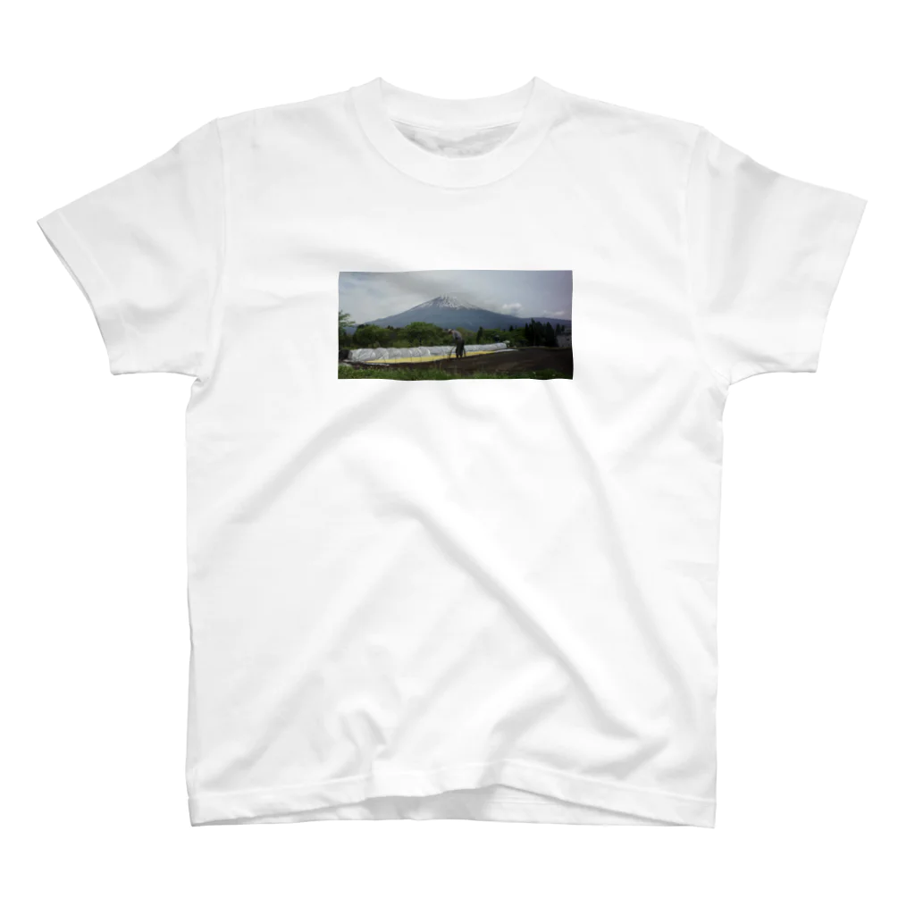 norimikaのfujiyama201905 スタンダードTシャツ