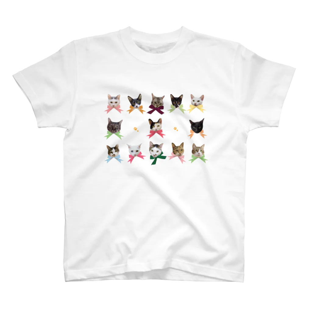 ねっこのねこいっぱい スタンダードTシャツ