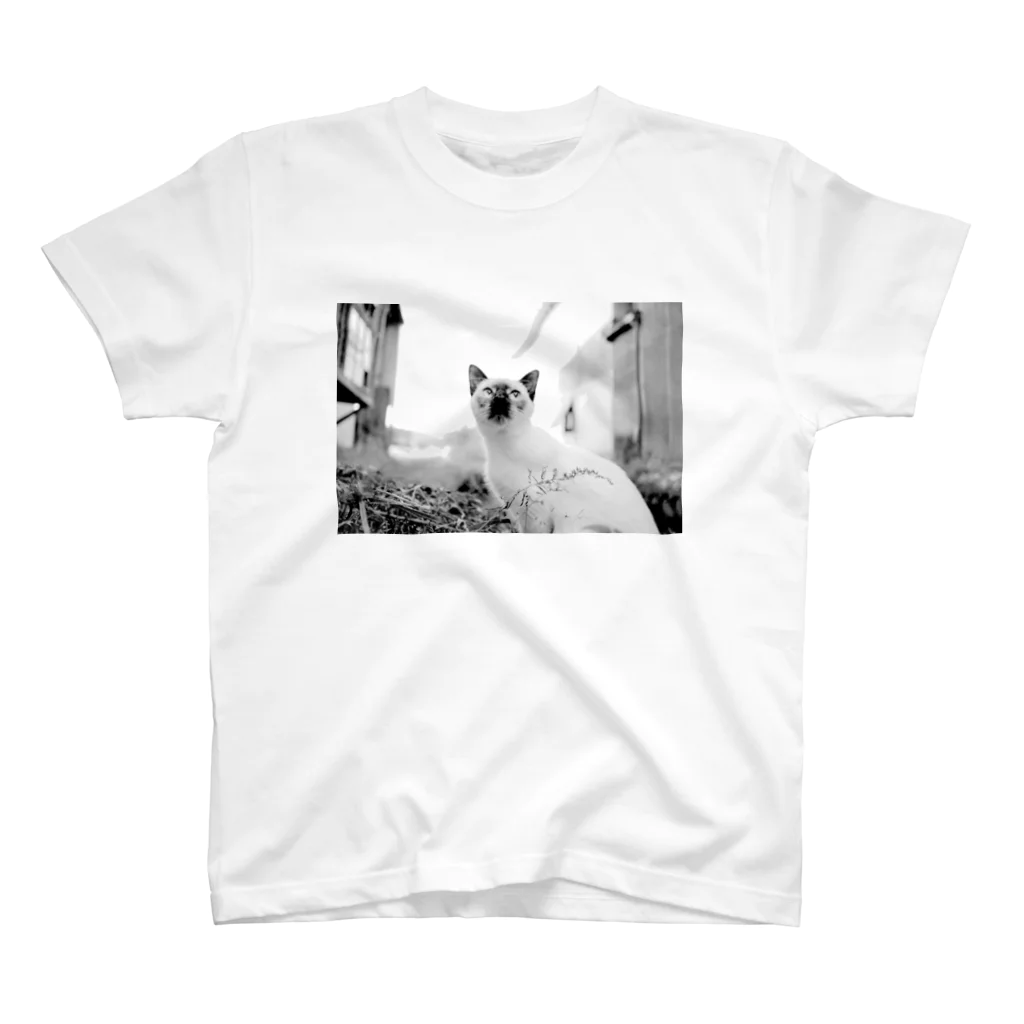 タロやんの猫ちゃん Regular Fit T-Shirt