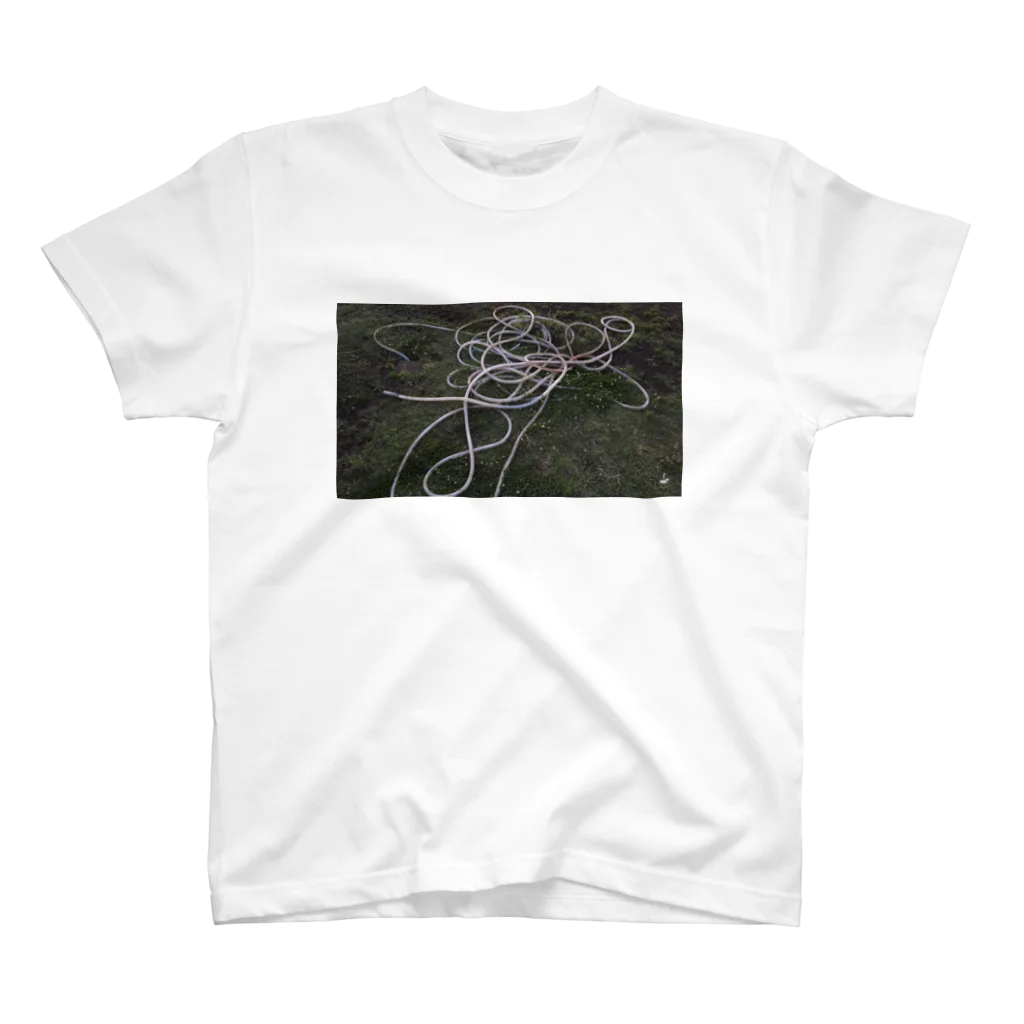 fDESIGNのfp_21_Photo スタンダードTシャツ