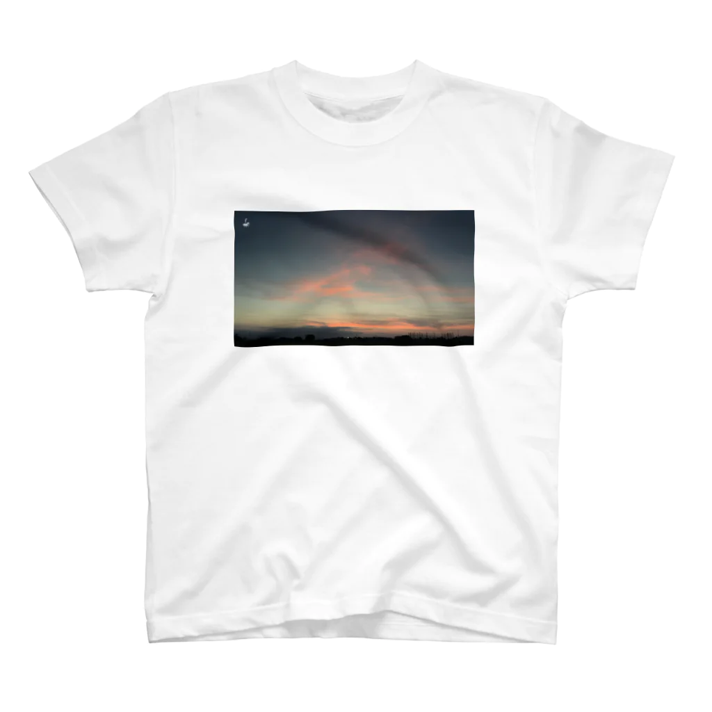 fDESIGNのfp_22_Photo スタンダードTシャツ