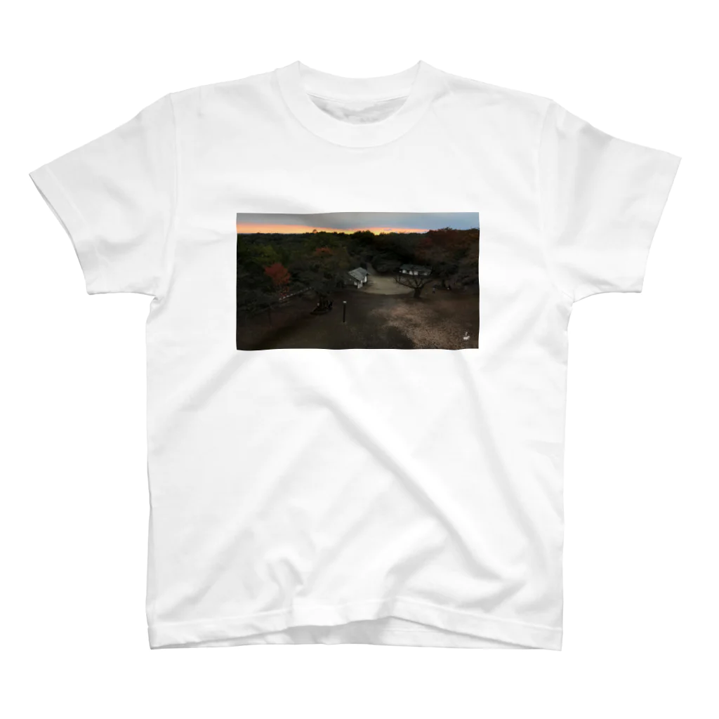 fDESIGNのfp_32_Photo スタンダードTシャツ