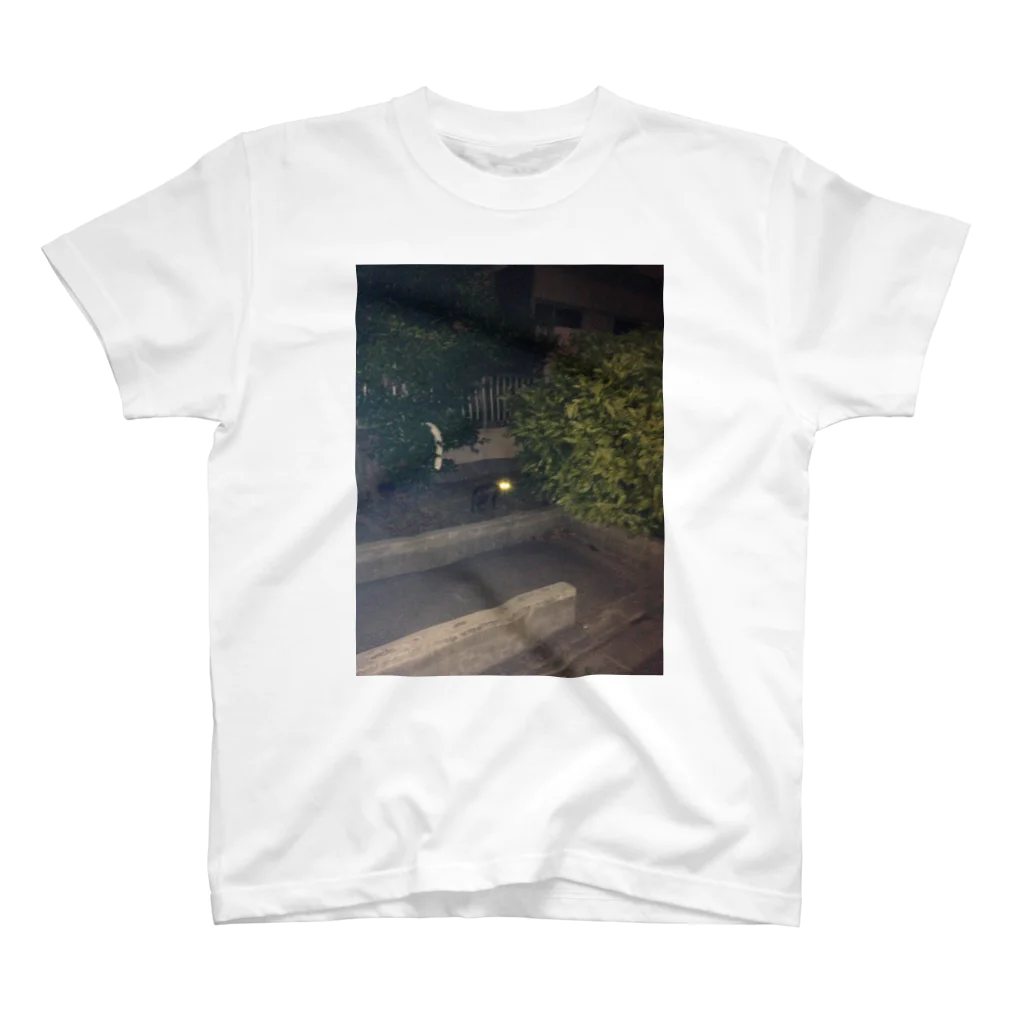 botamochiiの真夜中の眼光 Regular Fit T-Shirt