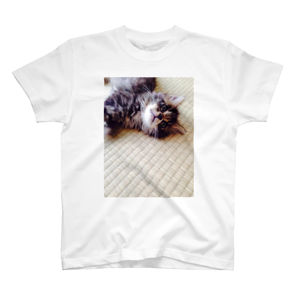 キャットキングダムの子猫のミントちゃん♡ スタンダードTシャツ