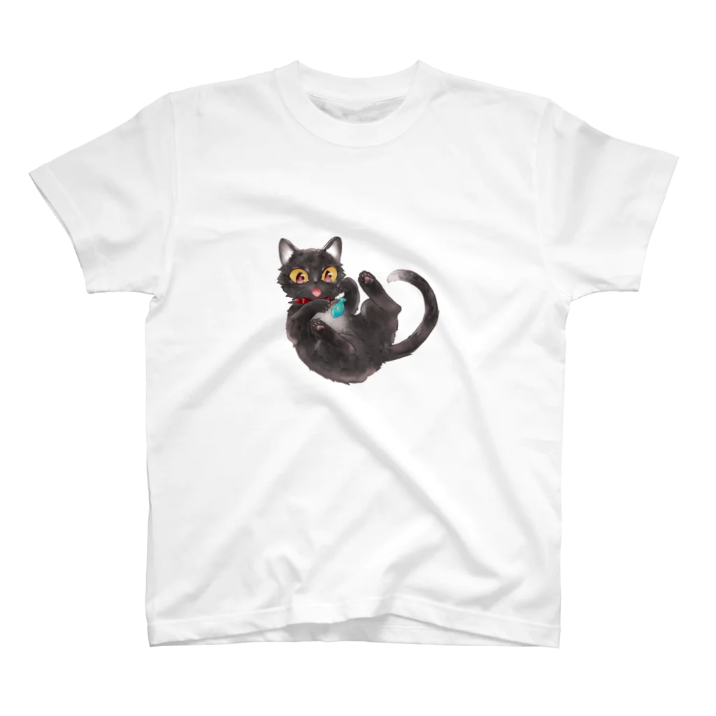 #保護猫カフェひだまり号の小町シリーズ スタンダードTシャツ