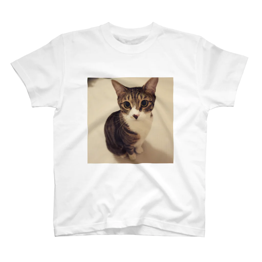 ねこまる広場のらいちさんのおすまし☻ スタンダードTシャツ