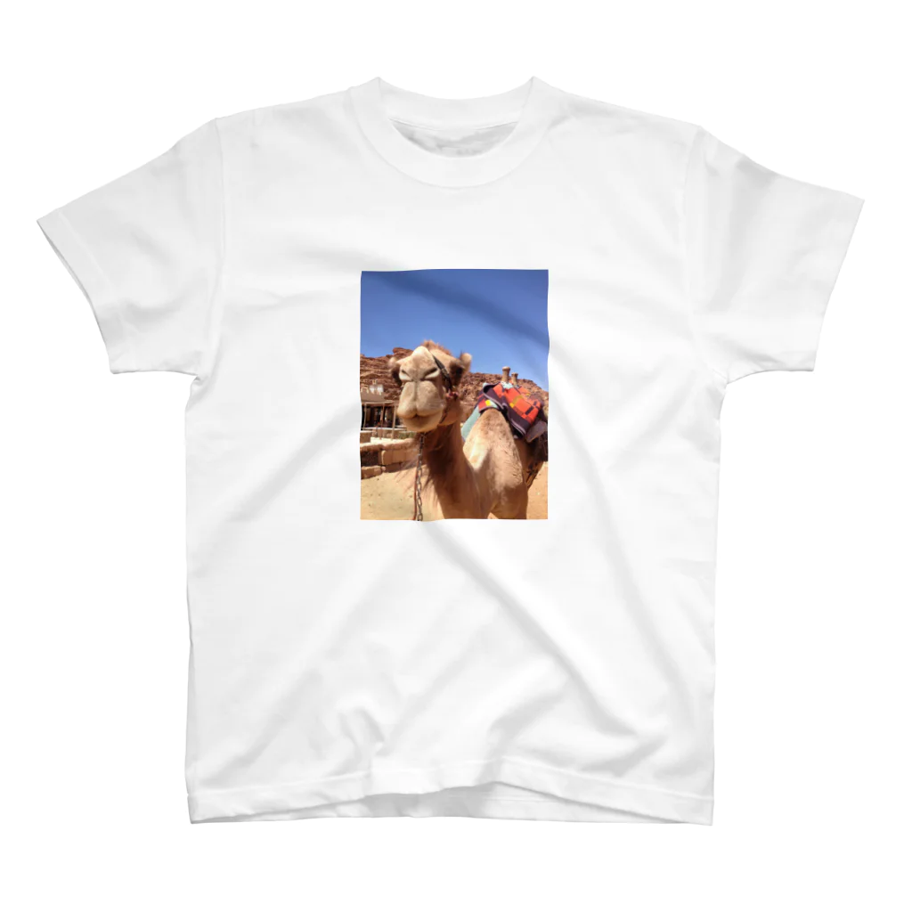 まーりーの砂漠のラクダさん スタンダードTシャツ