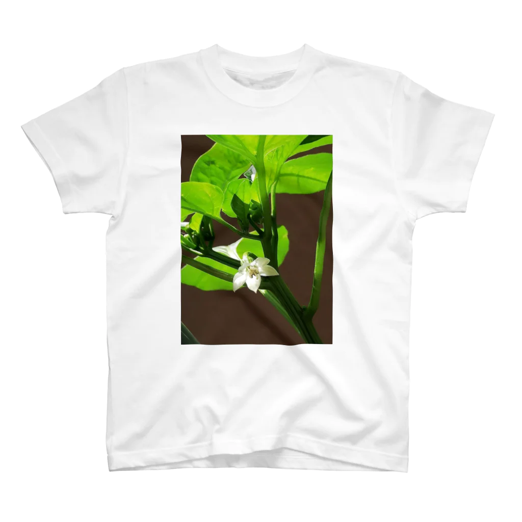 mikado03のピーマンの花 Regular Fit T-Shirt