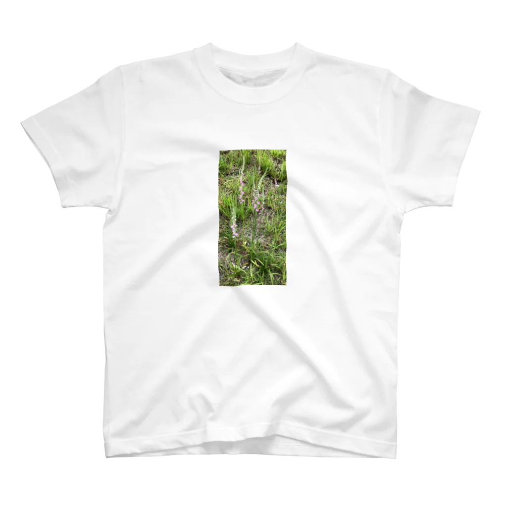 kiyutonの季節の花シリーズ　　ネジバナ Regular Fit T-Shirt