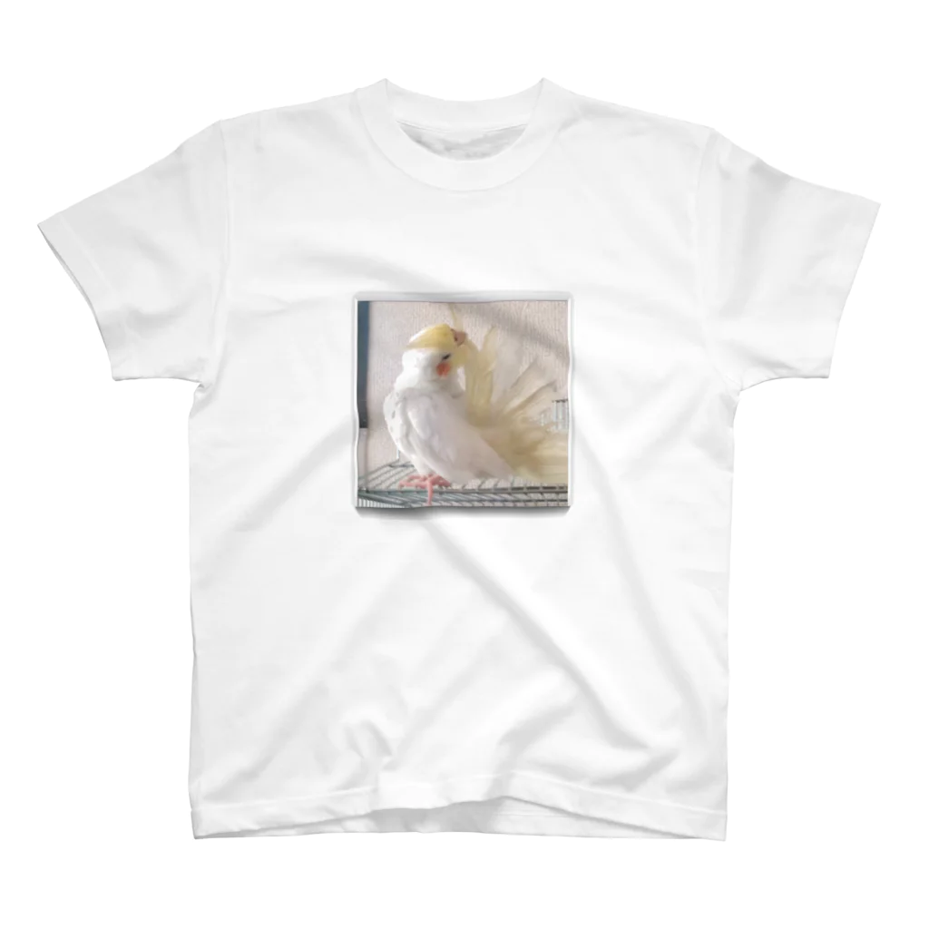 usa3104のオカメインコのムーン羽繕い中 スタンダードTシャツ