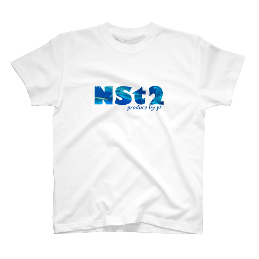 NSt2のNSt2-T jinbee スタンダードTシャツ