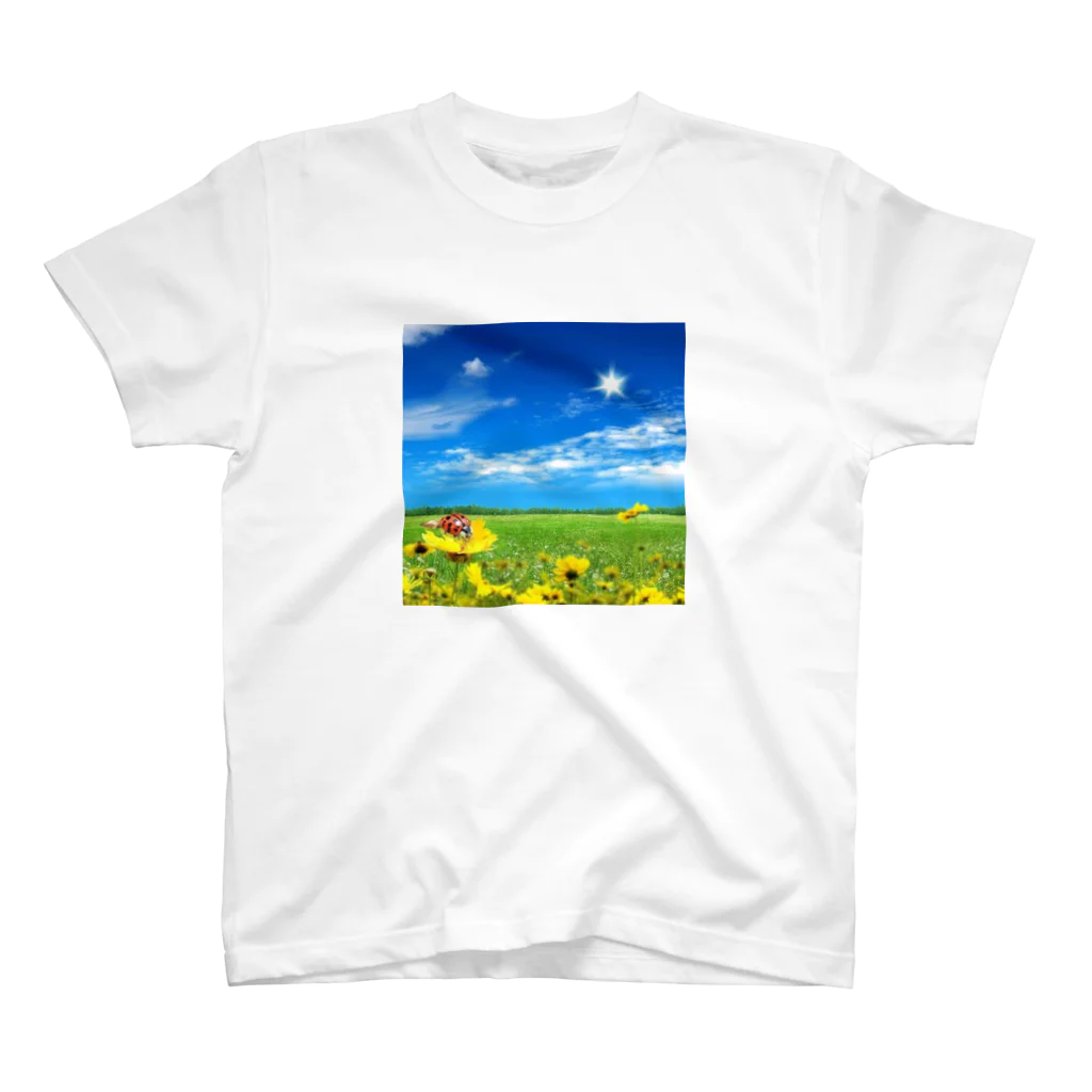 mitubatiのてんとう虫と空 スタンダードTシャツ