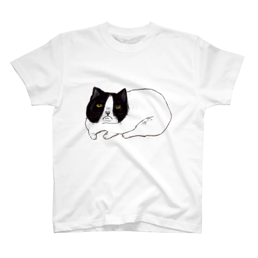 アコルのごめんねこ Regular Fit T-Shirt