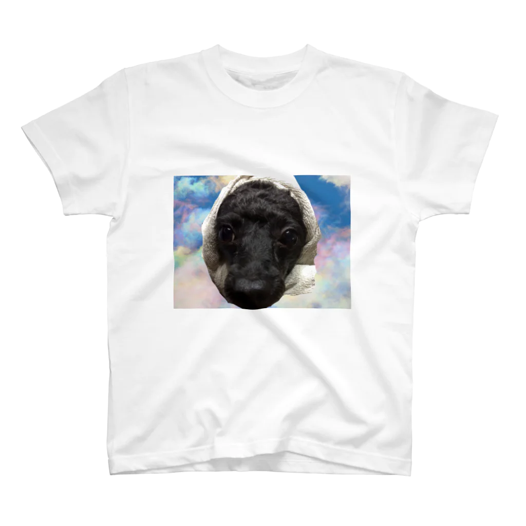 Shinoのほっかむり犬 Regular Fit T-Shirt