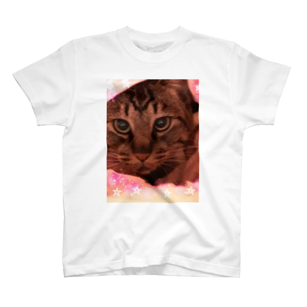 lunamoonaoのしましま猫ちゃん。 Regular Fit T-Shirt