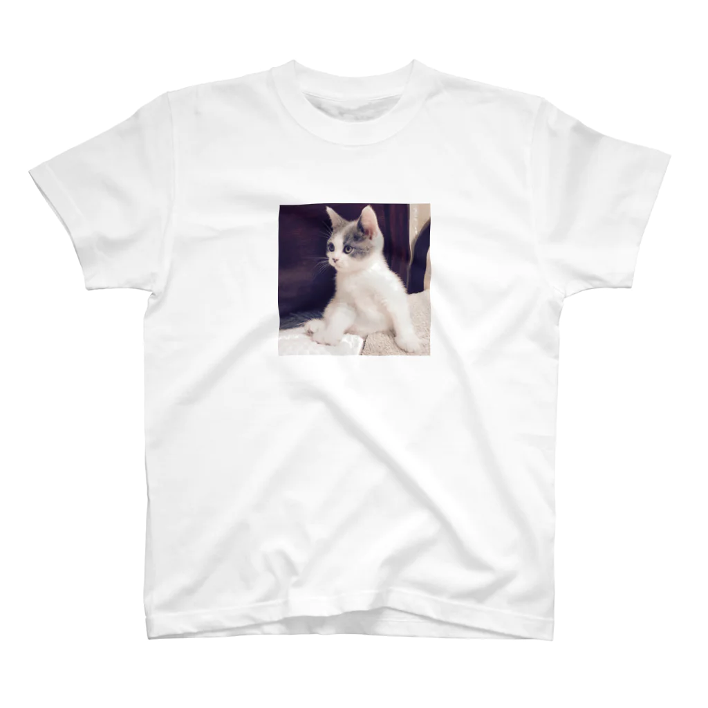 cat.kotetsuの貫禄あり スタンダードTシャツ