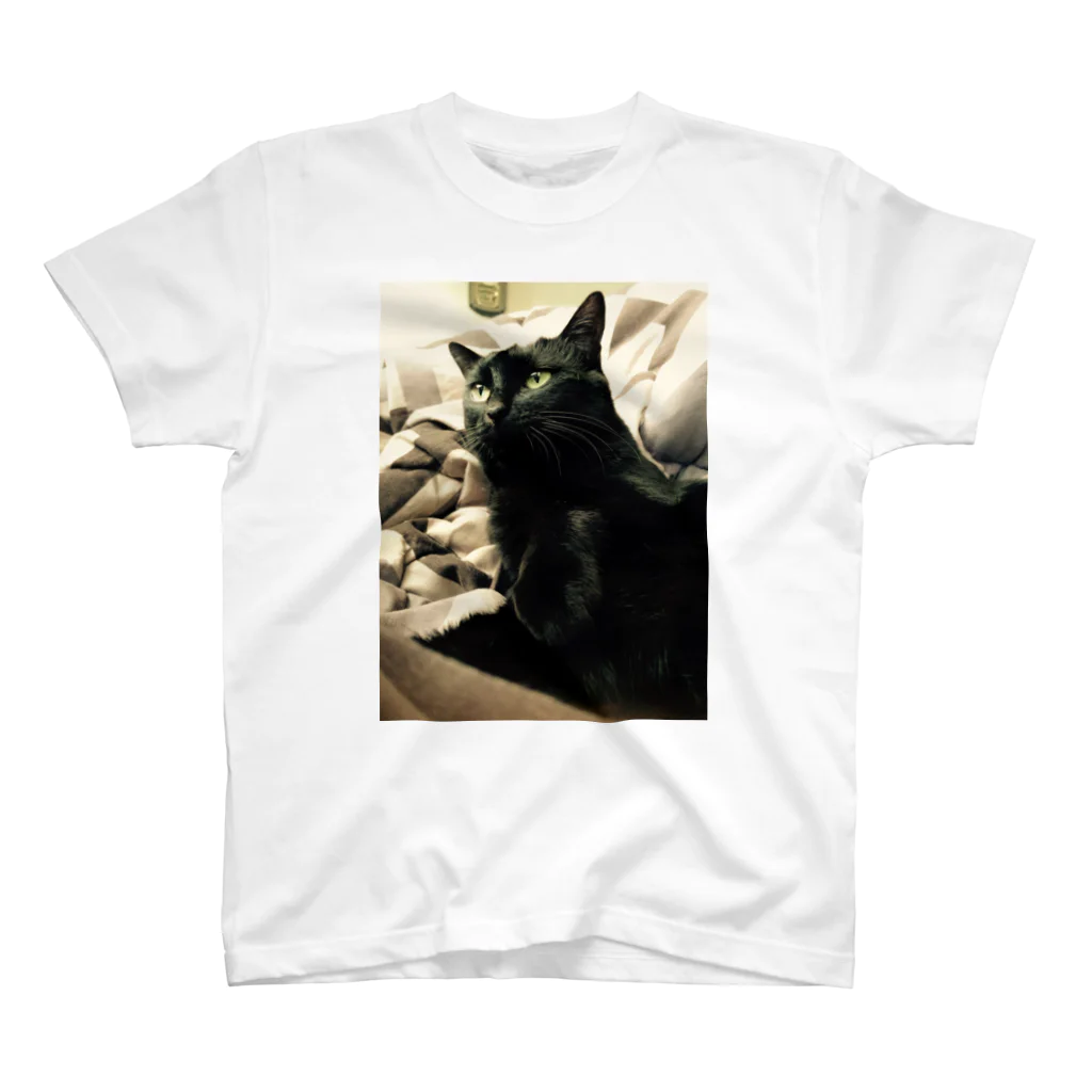 Yama craftのまっくろくろねこ Regular Fit T-Shirt