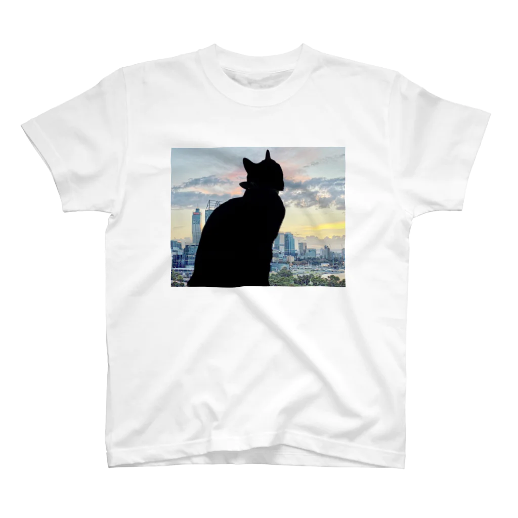  HARU-NYANKOの夢うつつねこ スタンダードTシャツ