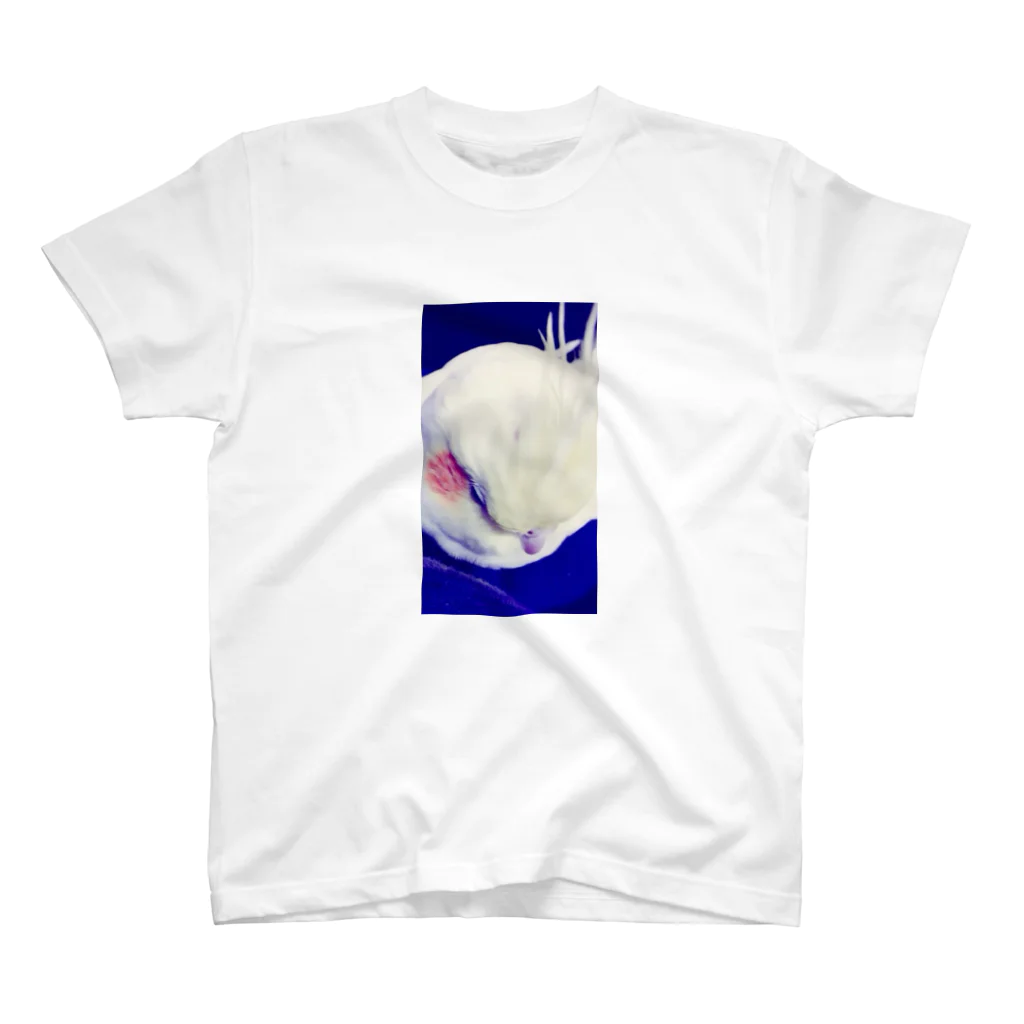 Basketfoxの夢・選り取り見鳥 Regular Fit T-Shirt