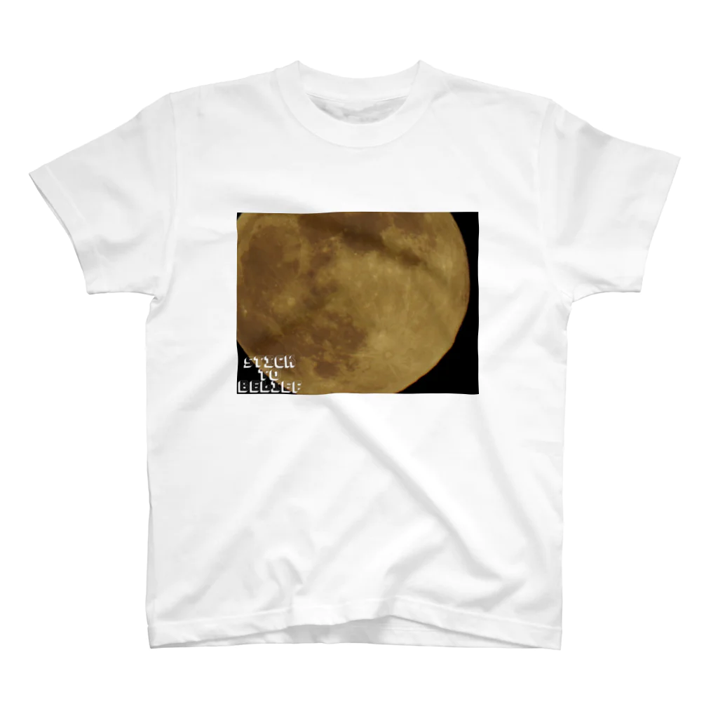 STICKTOBELIEFの月の表面 Regular Fit T-Shirt