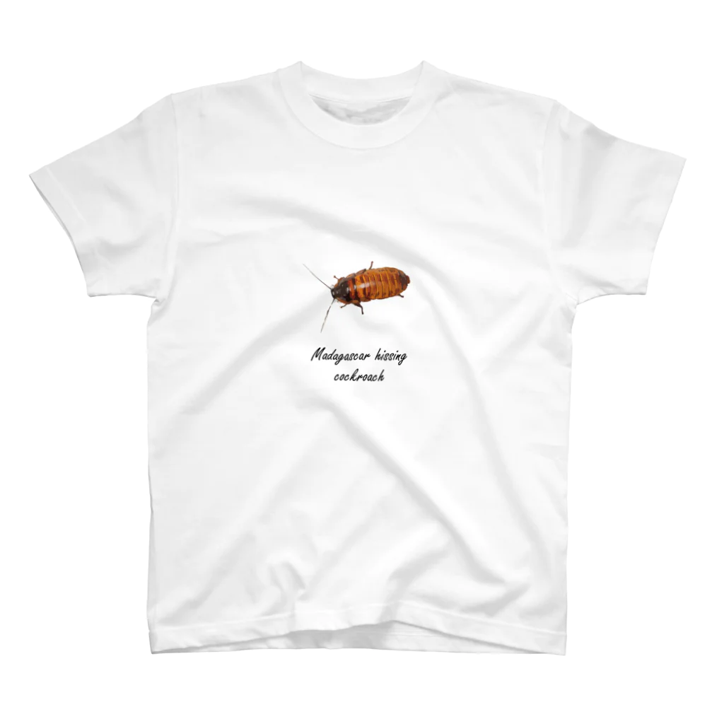 かたいおじさんのマダガスカルゴキブリ～Madagascar hissing cockroach～ スタンダードTシャツ