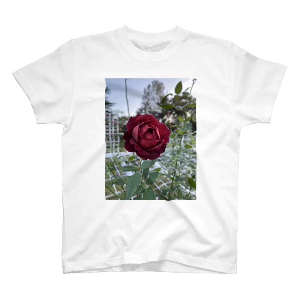 kobasakiiiiiの代々木野薔薇 スタンダードTシャツ