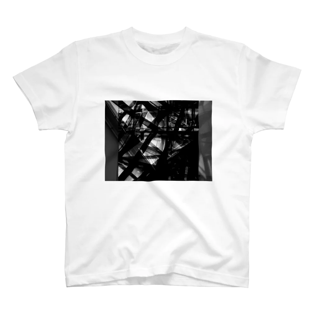 CTRL shopのFederim graphic スタンダードTシャツ