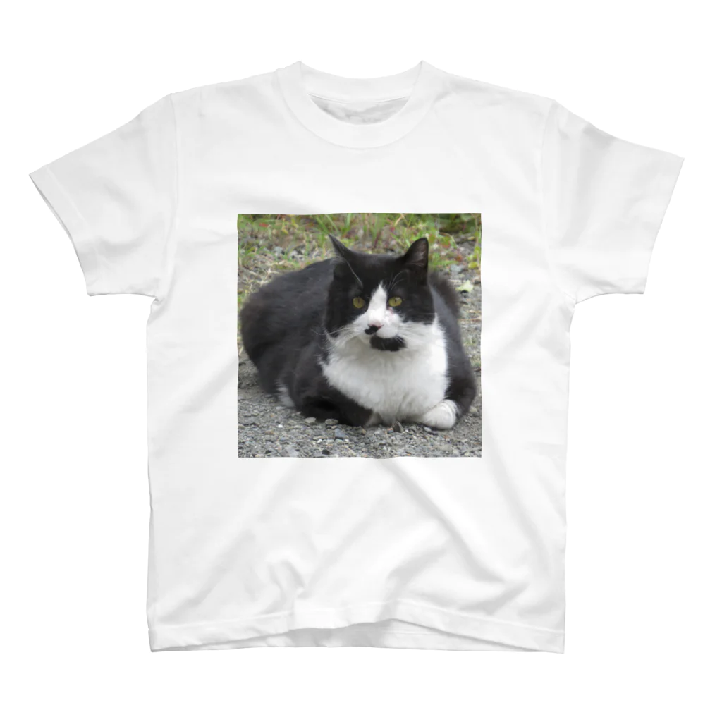 ENDER_007_Sの野良猫_正 スタンダードTシャツ