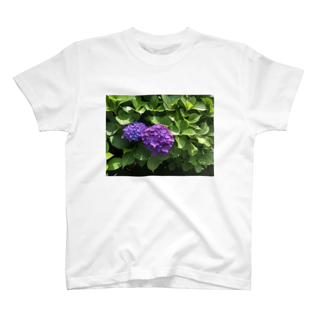 なほ◎6ーピーの紫陽花 Regular Fit T-Shirt