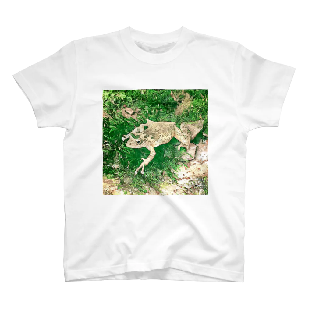 Fantastic FrogのFantastic Frog -Evergreen Version- Regular Fit T-Shirt