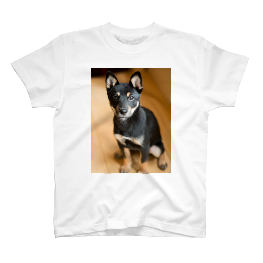 ナカムラのdog スタンダードTシャツ