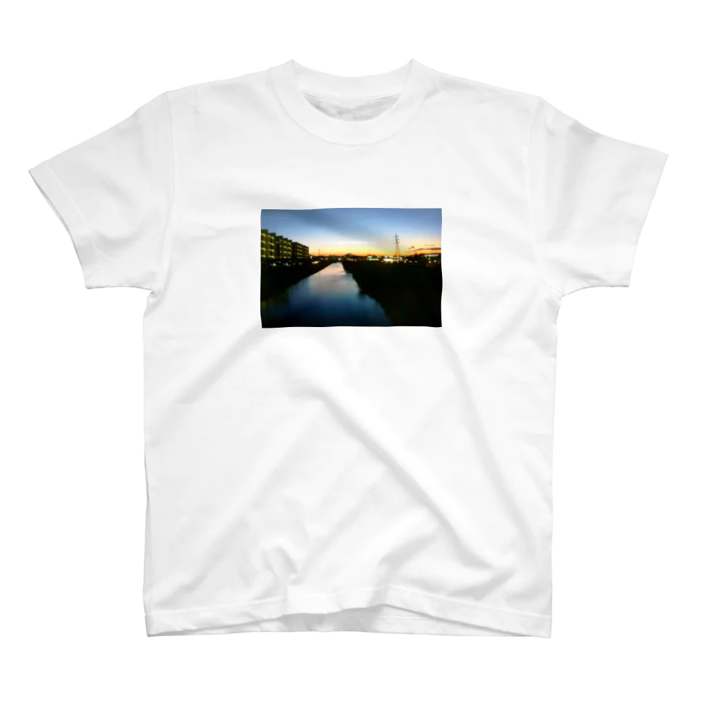 River Gardenの夜の手前 Regular Fit T-Shirt