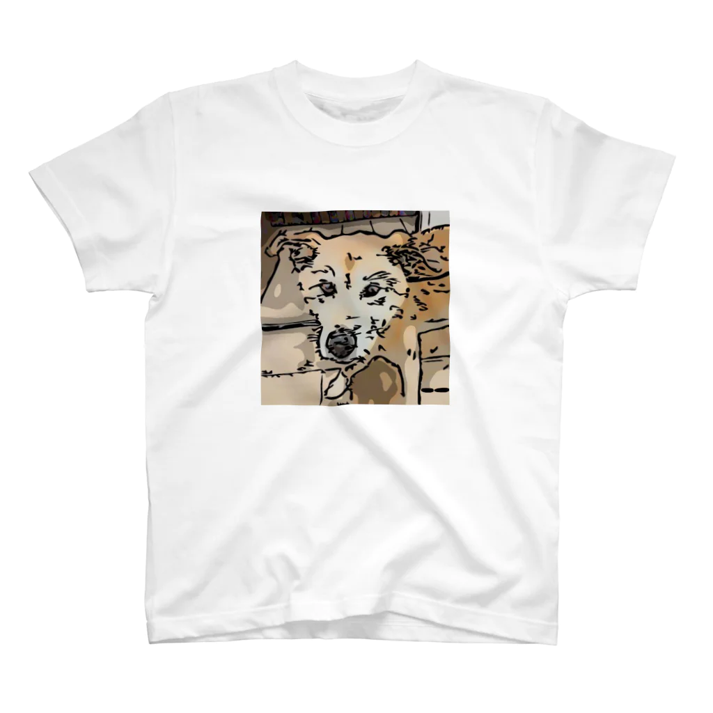 【保護犬／迷い犬】タロちゃんSHOP (HELP DOG SHOP)の【保護犬／迷子犬】タロちゃん Regular Fit T-Shirt