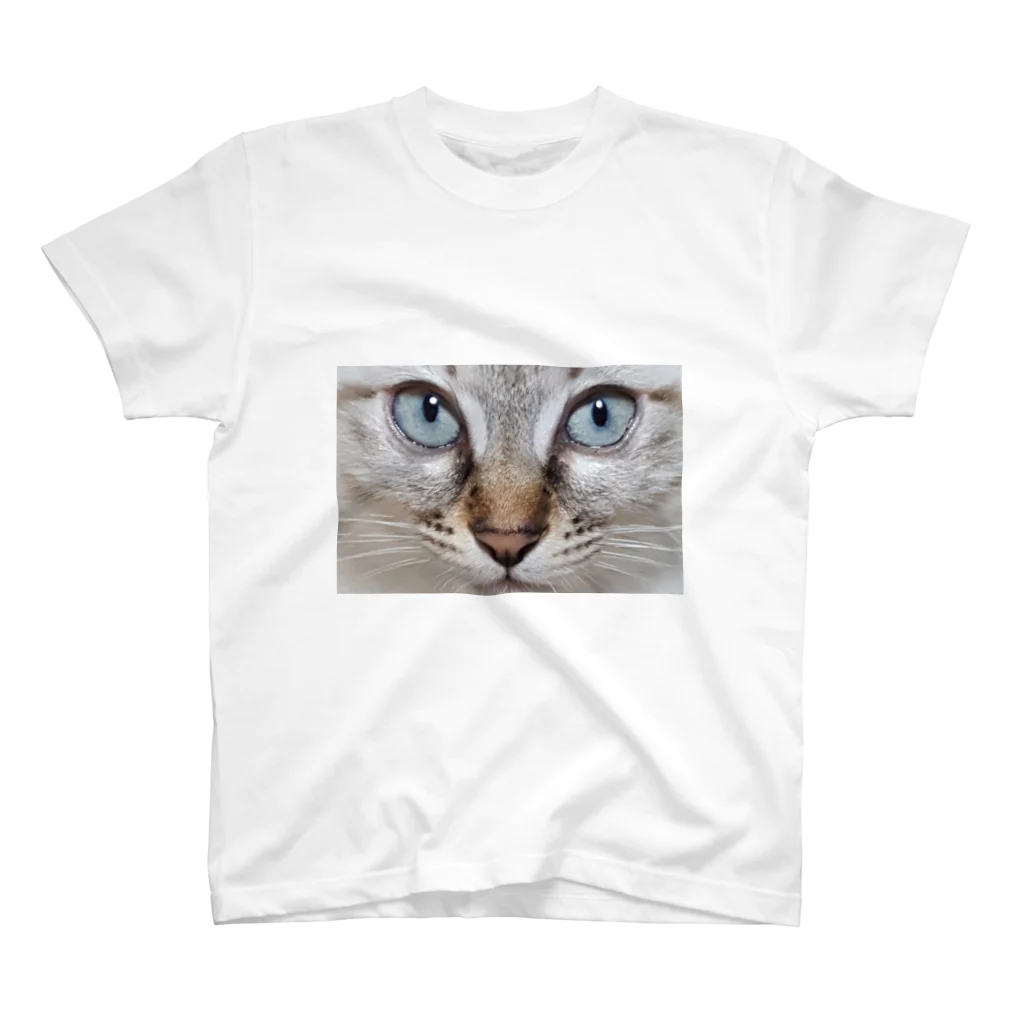 招き猫SHOPの慎之助くんマニア2 スタンダードTシャツ