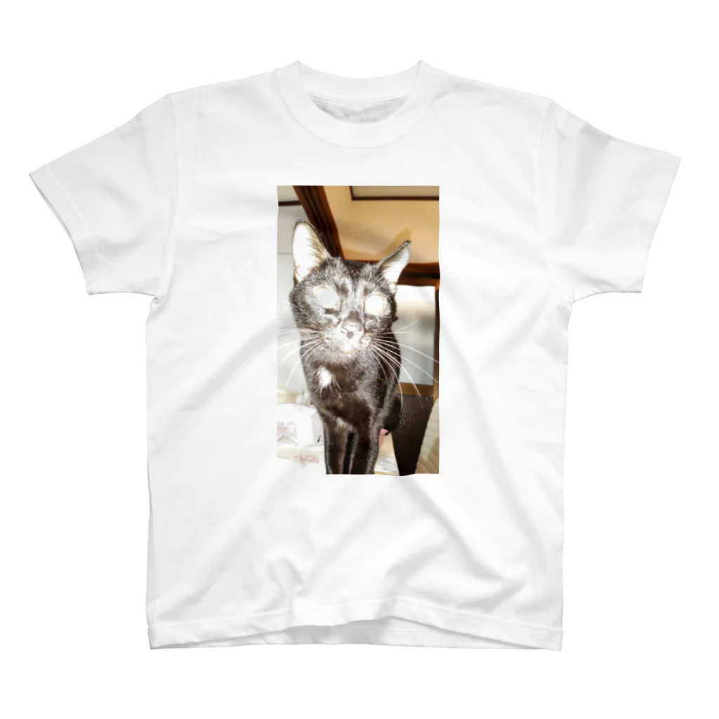 Sumigonのひかり猫 スタンダードTシャツ