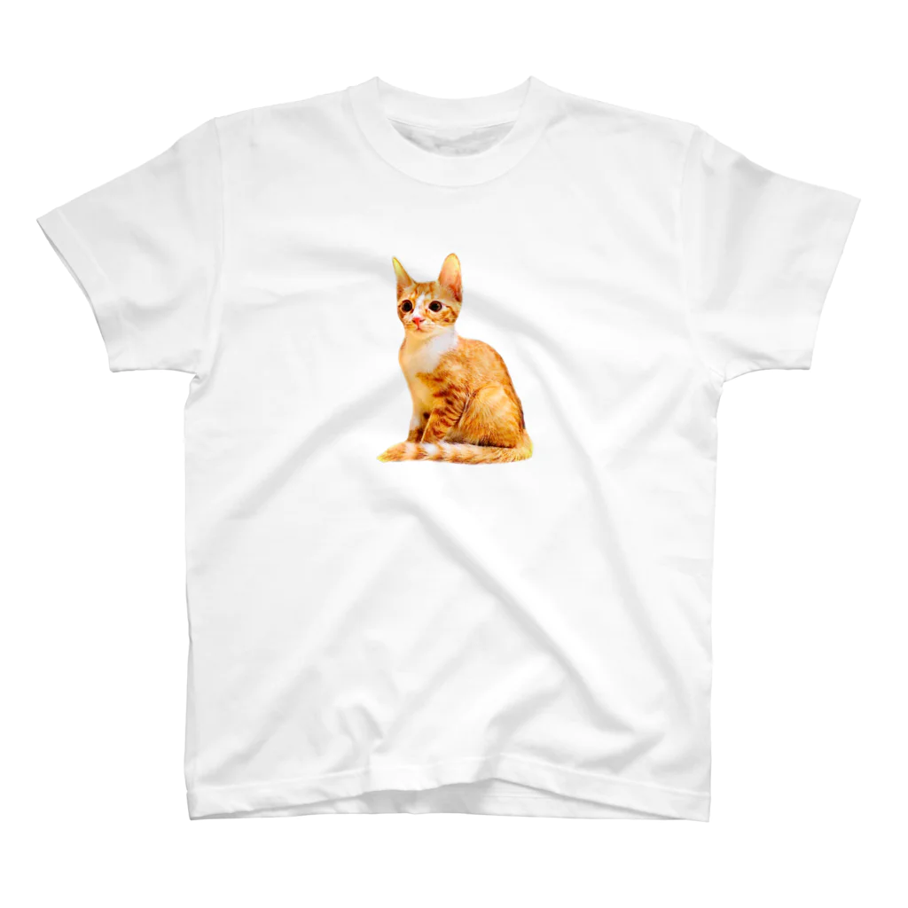 ねこだいすきばばあのKAWAII CHATORA NEKO スタンダードTシャツ