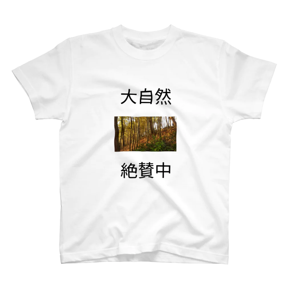 0sucoburuの大自然絶賛中 スタンダードTシャツ